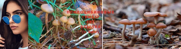 MDMA Лагань