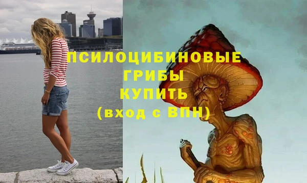 MDMA Лагань