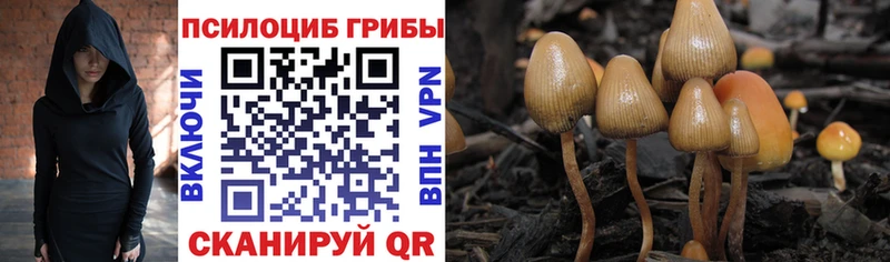 Псилоцибиновые грибы ЛСД  Купить  Санкт-Петербург 